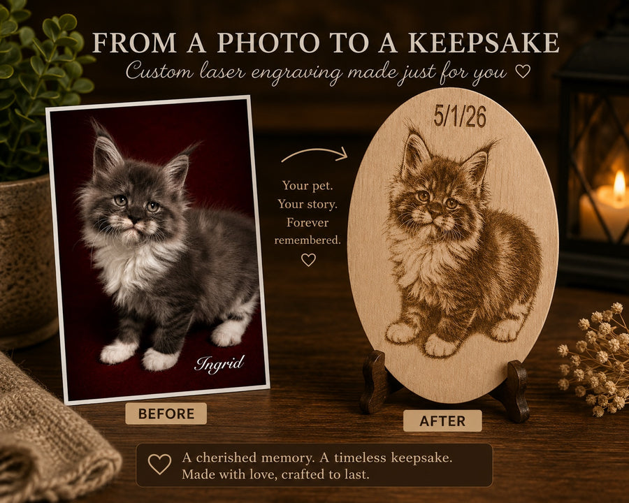 Silver Maine Coon kitten photo beside the finished custom wood engraving
